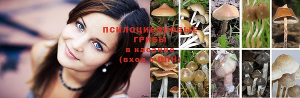 трава Козловка