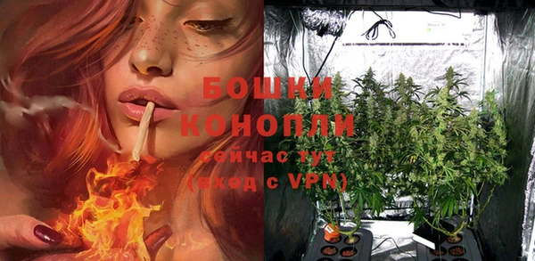 трава Козловка