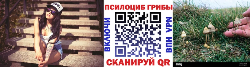 Псилоцибиновые грибы Psilocybine cubensis  Купить  Аркадак 